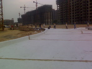 寧夏膨潤土防水毯 景觀湖防滲的理想選擇與采購指南