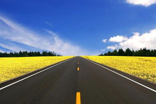 高速公路堵車，村民坐地起價(jià)收“過路費(fèi)” 應(yīng)急通道豈能成“生財(cái)之道”？