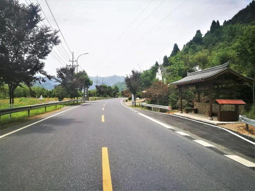 臨安公路榮膺省級綠化美化精品道路，橋梁藝術(shù)融入生態(tài)長廊